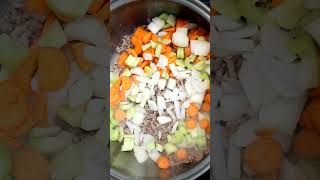 Homemade Beef Bean And Spinach Soup  Made From Scratch  The Southern Mountain Kitchen shorts [upl. by Anerrol]