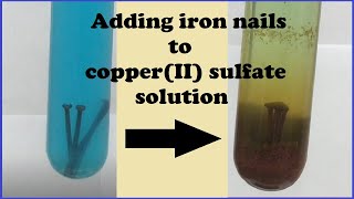 Iron metal  CopperII sulfate solution reaction Timelapse 100x [upl. by Harris]