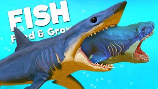 NEW KILLER MAKO SHARK vs PREHISTORIC MEGALODON  Feed and Grow Fish [upl. by Aiam]