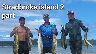 Stradbroke island fishing Spanish macro Moses perch [upl. by Meadow]