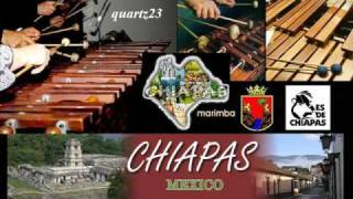 Marimba Orquesta Perla de Chiapas  Camaron Pelao [upl. by Meunier]