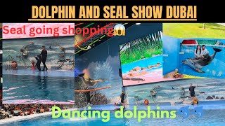 DUBAI DOLPHINS AND SEAL SHOW🐬🦭 TULU VLOG Dancing 💃 Singing 😱shopping 🙊 [upl. by Kano]