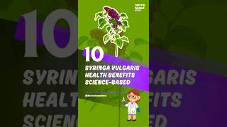 Syringa vulgaris Lilac Health Benefits ScienceBased [upl. by Ettedualc]