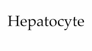 How to Pronounce Hepatocyte [upl. by Bittner]