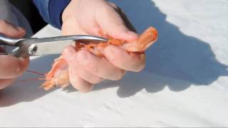 ShrimpsGarnelen putzen leicht gemacht  How to clean prawns [upl. by Treblig]