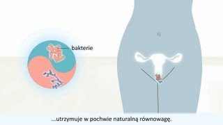 Infekcję drożdżakową pochwy  Przyczyny i leczenie [upl. by Ahc]