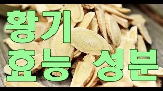 황기astragalus root의 효능 성분 [upl. by Omrellig]