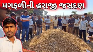 મગફળીની હરાજી કરવામા આવી \\ જસદણ  magafali ni haraji [upl. by Eibor256]