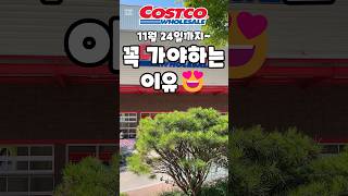 코스트코 11월 24일까지 꼭 가야하는 이유 costco costcoshopping 코스트코 코스트코추천템 코스트코추천상품 코스트코에서꼭사야할것 [upl. by Allebara]