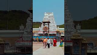 kattedura vaikuntam 🌼 🕉 devotional song🙏tirumala konda song balajistatus tirupati shorts viral [upl. by Guglielma867]