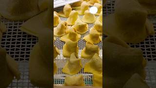 Tortellini 🇮🇹tortellini italia italianfood italiancuisine travel trip italiancooking [upl. by Ducan422]