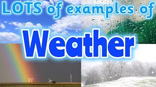 TYPES OF WEATHER for kids ☀️🌧️🌈 Can you name different types of weather Miss Ellis weather [upl. by Nref]