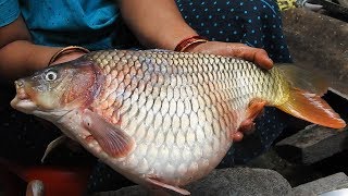 Fish Eggs Gravy Recipe Corp Fish Eggs Masala Stew Fish Egg Spicy Fry Recipes  Machli Wala [upl. by Marino]