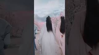 Word of Honor drama shorts junzhe wenkexing gongjun zhangzhehan wordofhonor [upl. by Manny]