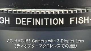 RAYNOX DCR5320PRO 532 Diopter HD Macro conversion lens Part2 [upl. by Weihs78]