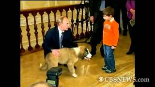 Russian Prime Ministers Puppy [upl. by Gelya]