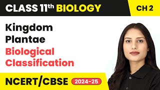 Kingdom Plantae  Biological Classification  Class 11 Biology Chapter 2  CBSE 202425 [upl. by Ttirb]