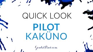 Pilot Kakuno Quick Look [upl. by Mallis]