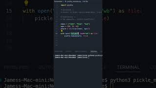 Python 3  Easy Object Serialisation python3 coding programming [upl. by Enileuqcaj]