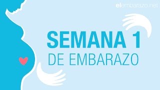 Semana 1 de embarazo  Primera semana de embarazo  El embarazo semana a semana [upl. by Higginbotham]