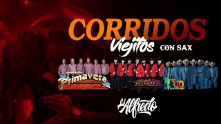 Corridos Viejitos Conjunto Primavera Vs Rieleros Del Norte Vs Conjunto Rio [upl. by Marcellina]