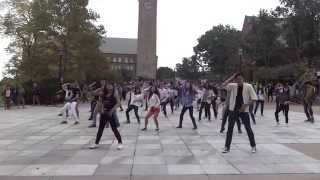 Love Never Felt So Good  Flashmob  Cornell University  BreakFree Hip Hop [upl. by Nyleuqaj]