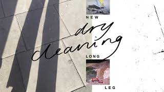 Dry Cleaning  Leafy Official Audio [upl. by Ilime]