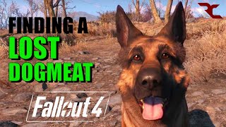 Fallout 4  How to Find a Lost DogmeatCompanion Fallout 4 Guides [upl. by Ddene]