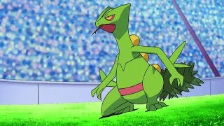 All Ashs Sceptile moves [upl. by Ecirtal]