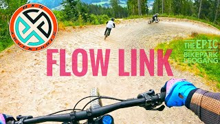 Flow Link Leogang Bike Park [upl. by Sivet]