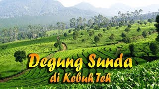 Suling Degung Sunda Merdu di Kebun Teh [upl. by Cutlerr]