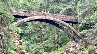 Moulton Falls Bridge Jump 60ft [upl. by Heller]