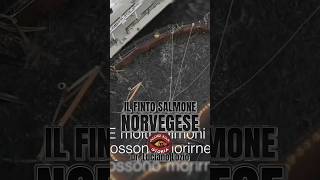 Il finto salmone norvegese perte [upl. by Ayhdiv516]