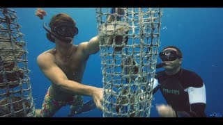 Freediving TV  The Pearl Diver  Freediving in Fakarava Havaiki Pearl farm with Christian Redl [upl. by Anal]