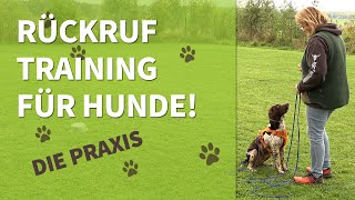 Rückruftraining für Hunde ➡️ Die Praxis ✔️ [upl. by Abisha]