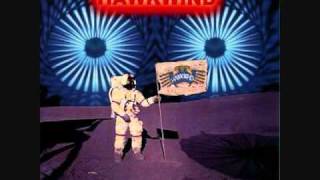 Hawkwind  I Am the ReptoidThe Nazca [upl. by Homerus]