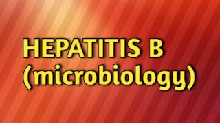 Hepatitis B  microbiology [upl. by Dnalyag622]