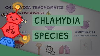 All You Need to Know About Chlamydia Species [upl. by Hartzell118]