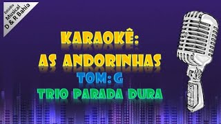 Karaokê AS ANDORINHAS Trio Parada Dura Tom G [upl. by Pega]