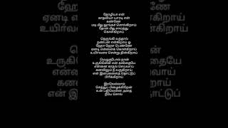 Vijay Antony Hits Song Lyrics Tamil [upl. by Anivel441]