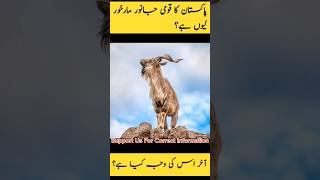 Why Pakistans National Animal Is quotMarkhorquot Shorts Youtube shorts ISI Markhor [upl. by Lyret587]