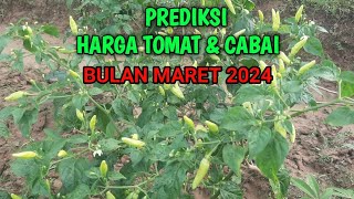 Prediksi harga cabai dan tomat bulan maret 2024 [upl. by Maurer]