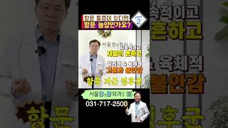 항문 농양 ㅣ 분당치질 유튜버 치열항문농양 [upl. by Ludmilla]