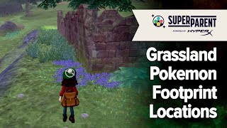 Pokemon Sword and Pokemon Shield  Grassland Pokemon Footprint Locations The Crown Tundra [upl. by Ivel]