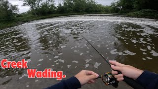 Creek wading in the RAIN for smallmouth bass [upl. by Nodarb]