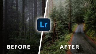 8 Quick Photo Editing Tips for Beginners [upl. by Zack460]