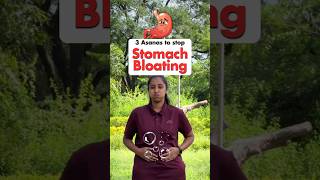 3 Asanas to Stop Stomach Bloating bloating yoga shorts [upl. by Lezned8]