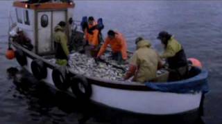 Mourne Herring Fishing [upl. by Meingolda]