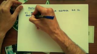 Expresiones Algebraicas Monomios [upl. by Mylan]