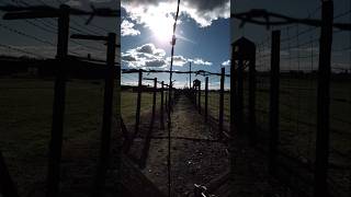 Konzentrationslager Lublin 19411944 worldwar2 history poland travel shorts shortsvideo war [upl. by Adlei350]